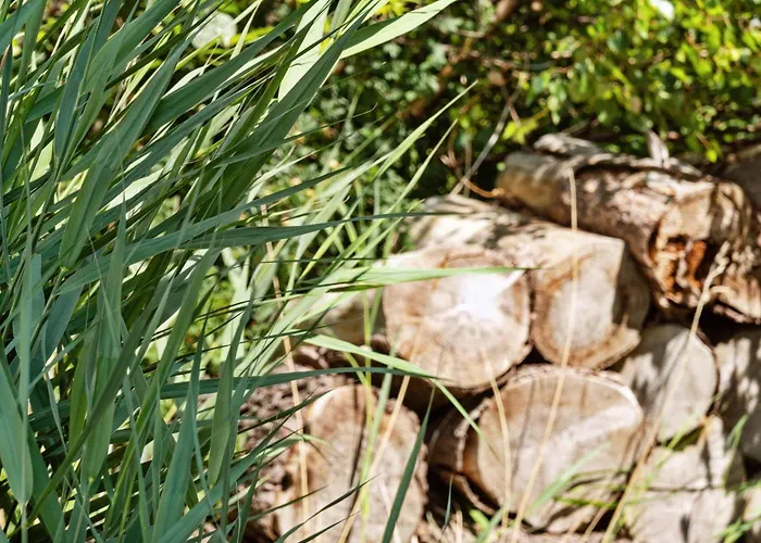 Дом отдыха Panoramic View To At Sejer Bay